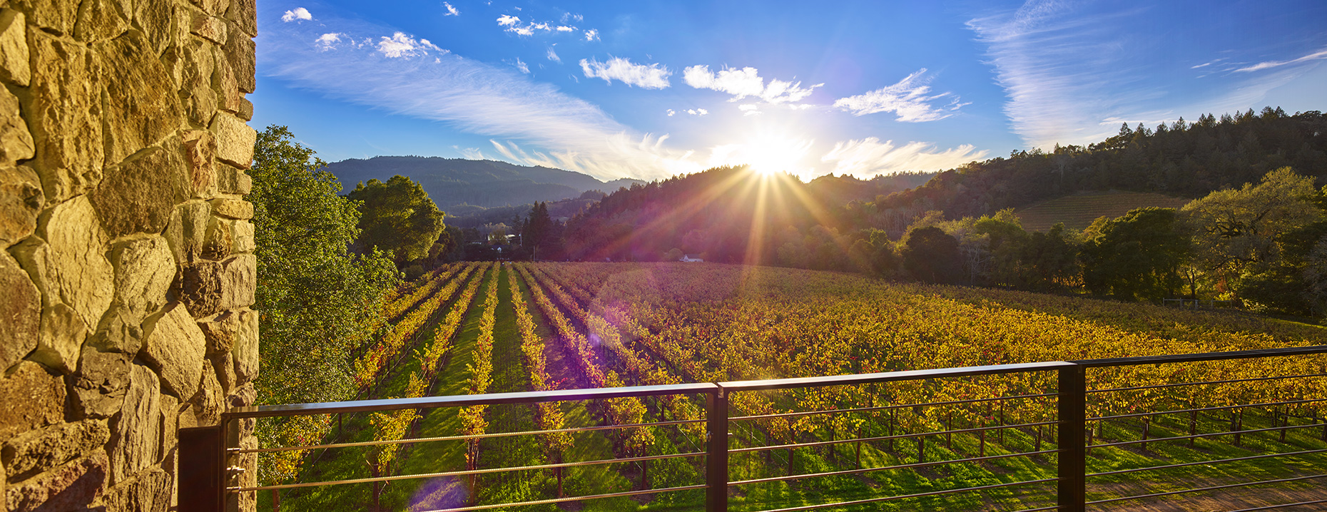alcobas_vineyardview