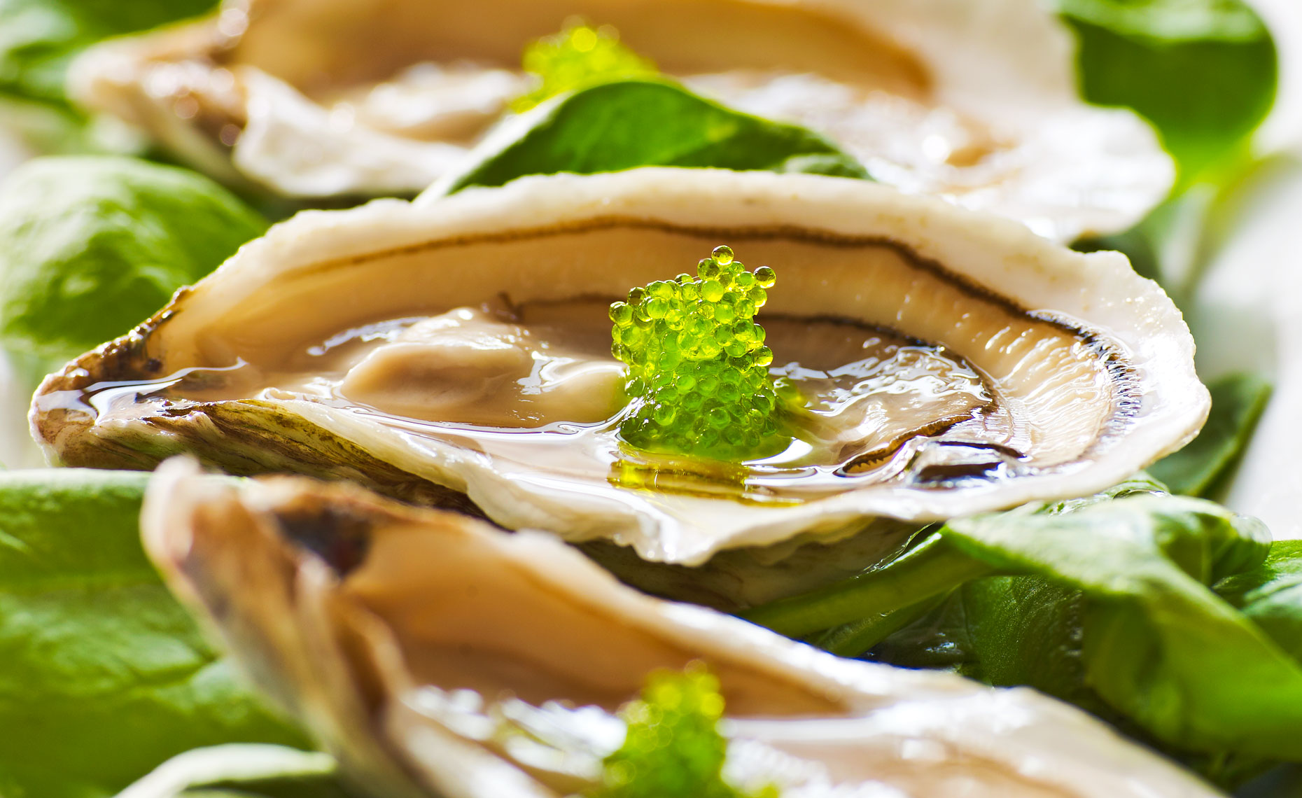 oysters_green_caviar